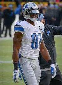 Calvin Johnson