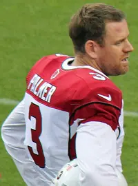 Carson Palmer