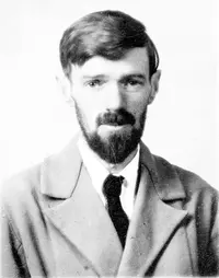 D. H. Lawrence