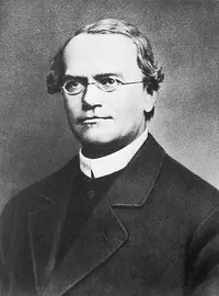 Gregor Mendel