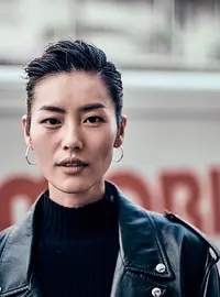 Liu Wen