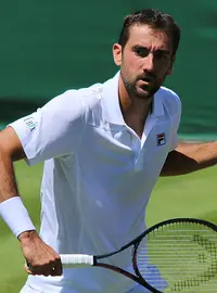 Marin Čilić