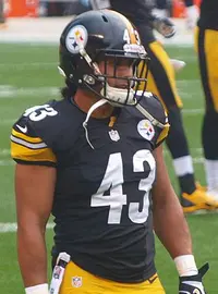 Troy Polamalu